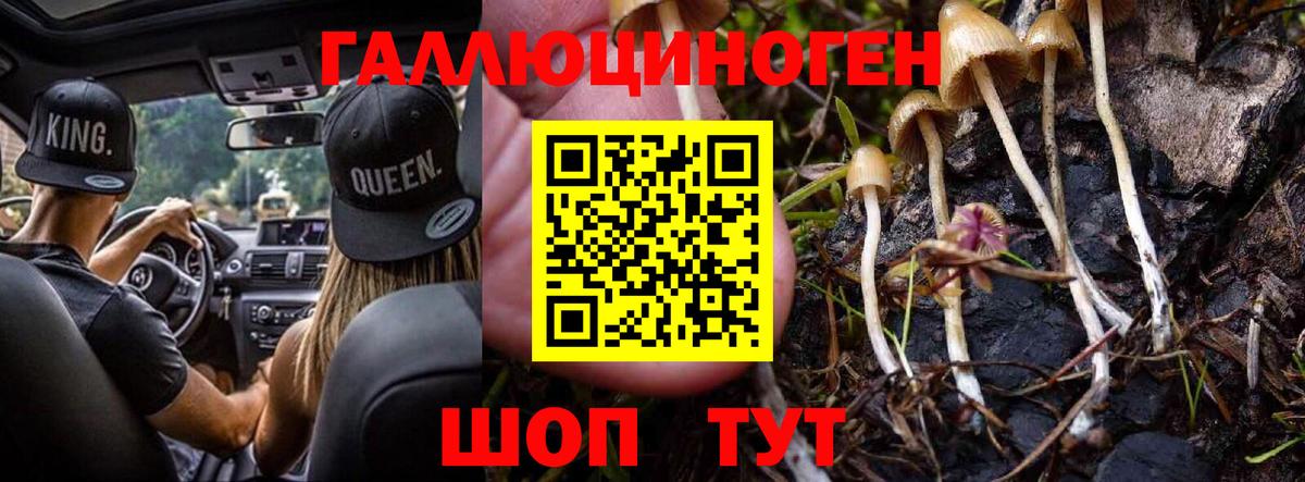 Калининград  Псилоцибиновые грибы прущие грибы  Вход с VPN  Галлюциногенные грибы мицелий 