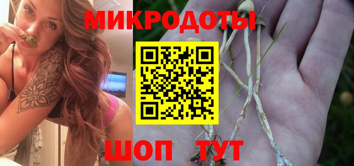 Галлюциногенные грибы мицелий Калининград